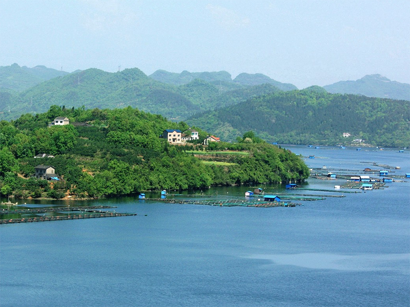 cod快速檢測(cè)儀