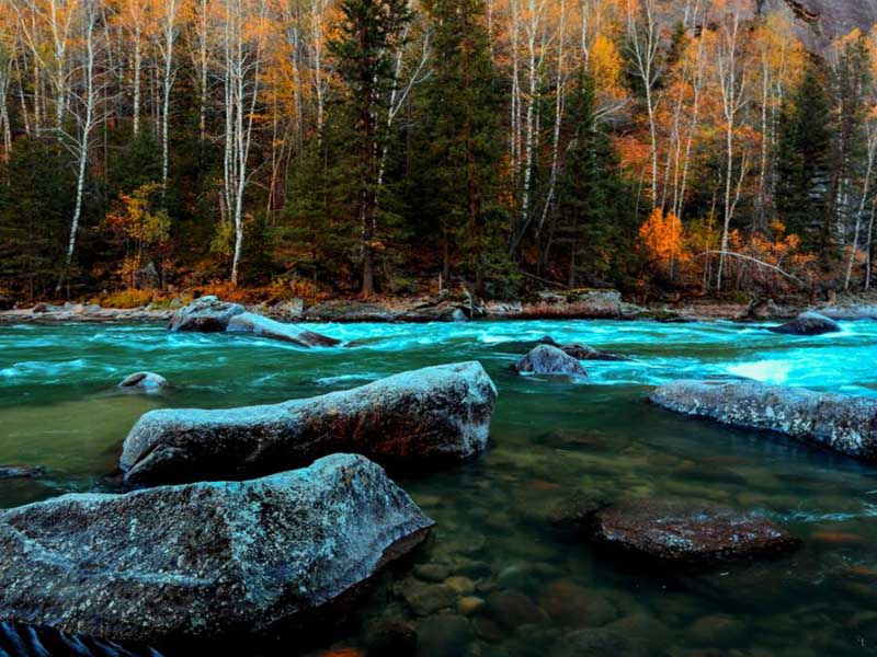 水質(zhì)六價(jià)鉻檢測(cè)儀使用說明書